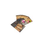 شیمیاگران - Image 8